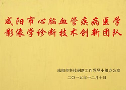 咸陽市心腦血管疾病醫(yī)學影像學診斷技術創(chuàng)新團隊