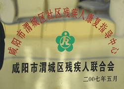 咸陽市渭城區(qū)社區(qū)殘疾人康復指導中心